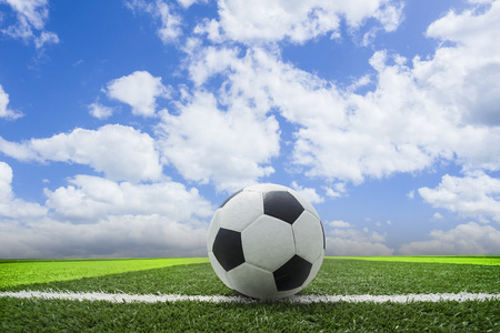 体育从业者使用场景