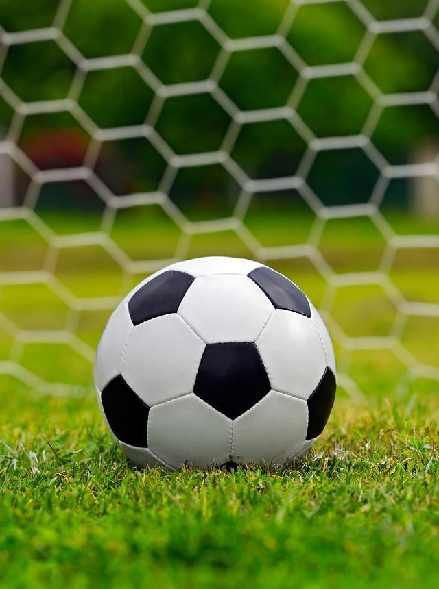 资深球迷观赛场景